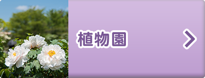 植物園（ガーデニング）