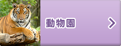 動物園