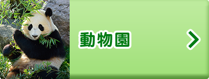 動物園